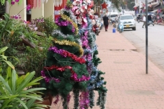 151225_Luang Prabang