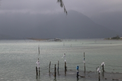 IMG_0054