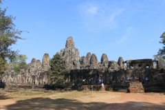 IMG_0774