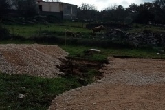 IMG20211211132558_05